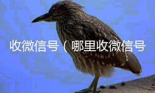 收微信号24小时收微信（哪里收微信号）